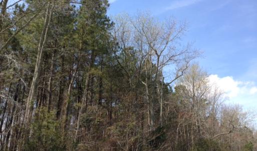 Photo of SOLD!  13 Acres of Farm and Timber Land For Sale in Camden County NC!