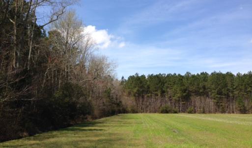 Photo of SOLD!  13 Acres of Farm and Timber Land For Sale in Camden County NC!
