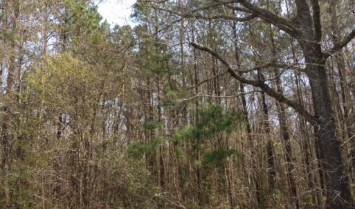 Photo of SOLD!  13 Acres of Farm and Timber Land For Sale in Camden County NC!