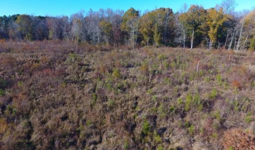 Photo of UNDER CONTRACT!  70.53 Acres of Hunting and Timber Land For Sale in Edgecombe County NC!