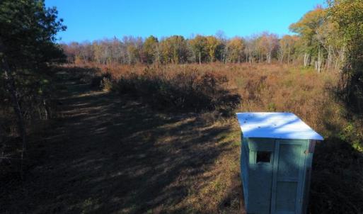 Photo of UNDER CONTRACT!  70.53 Acres of Hunting and Timber Land For Sale in Edgecombe County NC!