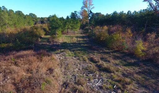 Photo of UNDER CONTRACT!  70.53 Acres of Hunting and Timber Land For Sale in Edgecombe County NC!