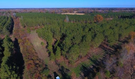 Photo of UNDER CONTRACT!  70.53 Acres of Hunting and Timber Land For Sale in Edgecombe County NC!