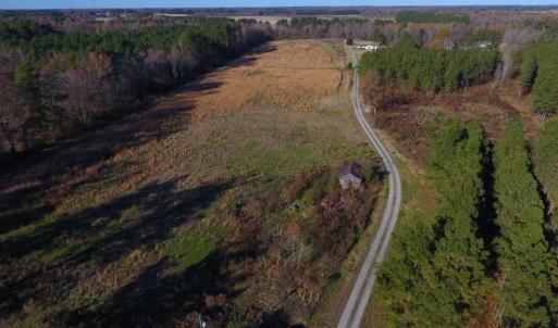 Photo of UNDER CONTRACT!  70.53 Acres of Hunting and Timber Land For Sale in Edgecombe County NC!