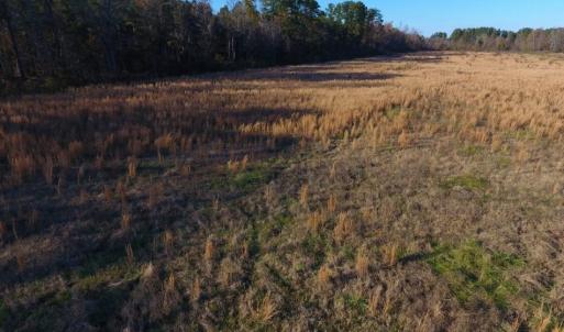 Photo of UNDER CONTRACT!  70.53 Acres of Hunting and Timber Land For Sale in Edgecombe County NC!