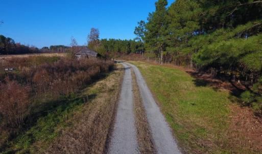 Photo of UNDER CONTRACT!  70.53 Acres of Hunting and Timber Land For Sale in Edgecombe County NC!
