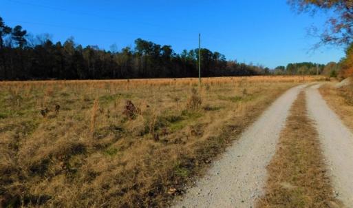 Photo of UNDER CONTRACT!  70.53 Acres of Hunting and Timber Land For Sale in Edgecombe County NC!