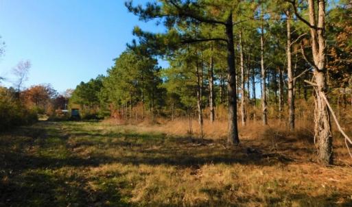 Photo of UNDER CONTRACT!  70.53 Acres of Hunting and Timber Land For Sale in Edgecombe County NC!