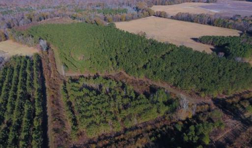 Photo of UNDER CONTRACT!  70.53 Acres of Hunting and Timber Land For Sale in Edgecombe County NC!