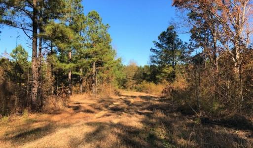 Photo of UNDER CONTRACT!  70.53 Acres of Hunting and Timber Land For Sale in Edgecombe County NC!