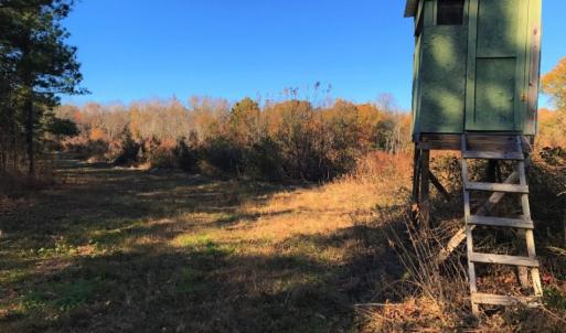 Photo of UNDER CONTRACT!  70.53 Acres of Hunting and Timber Land For Sale in Edgecombe County NC!