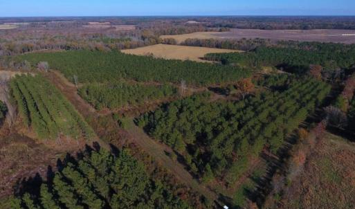Photo of UNDER CONTRACT!  70.53 Acres of Hunting and Timber Land For Sale in Edgecombe County NC!