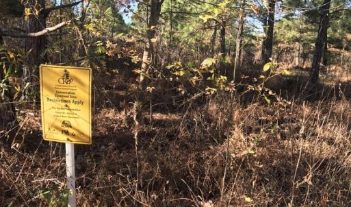 Photo of UNDER CONTRACT!  70.53 Acres of Hunting and Timber Land For Sale in Edgecombe County NC!