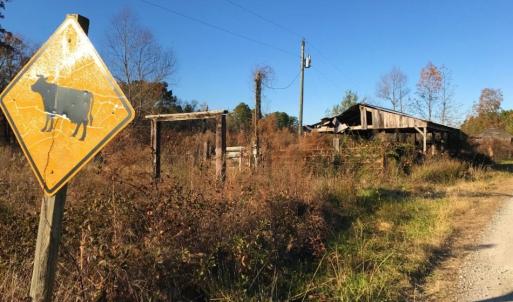 Photo of UNDER CONTRACT!  70.53 Acres of Hunting and Timber Land For Sale in Edgecombe County NC!