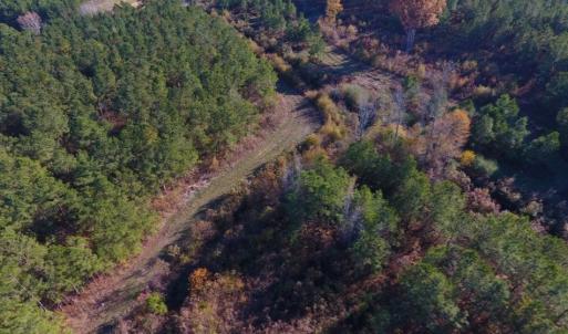 Photo of UNDER CONTRACT!  70.53 Acres of Hunting and Timber Land For Sale in Edgecombe County NC!