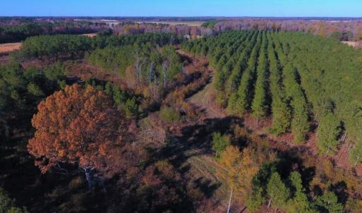 Photo of UNDER CONTRACT!  70.53 Acres of Hunting and Timber Land For Sale in Edgecombe County NC!