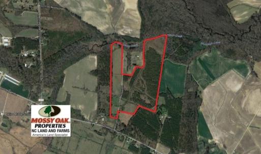 Photo of UNDER CONTRACT!  70.53 Acres of Hunting and Timber Land For Sale in Edgecombe County NC!
