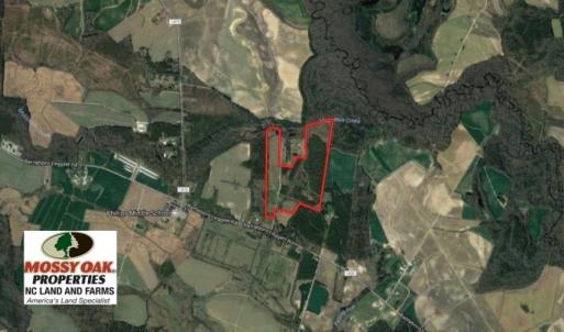 Photo of UNDER CONTRACT!  70.53 Acres of Hunting and Timber Land For Sale in Edgecombe County NC!