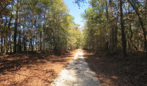 Photo of UNDER CONTRACT!  131 Acres of Hunting and Timber Land For Sale in Robeson County NC!