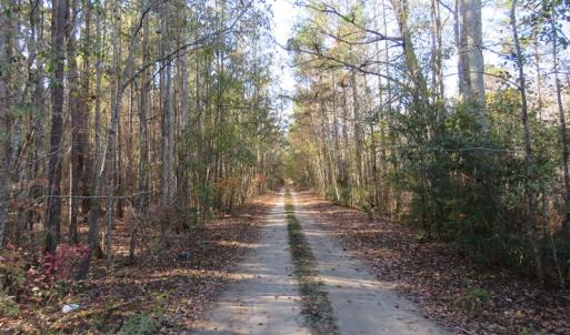 Photo of UNDER CONTRACT!  131 Acres of Hunting and Timber Land For Sale in Robeson County NC!