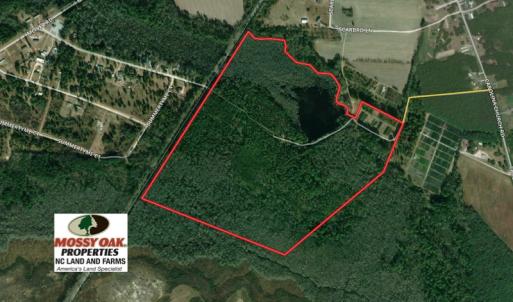 Photo of UNDER CONTRACT!  131 Acres of Hunting and Timber Land For Sale in Robeson County NC!