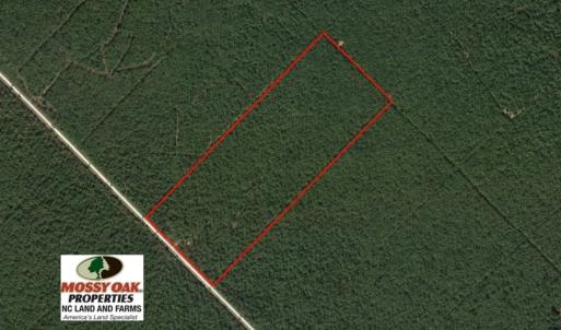 Photo of UNDER CONTRACT!  60 Acres of Bear and Deer Hunting Land For Sale in Hyde County NC!