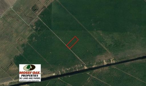 Photo of UNDER CONTRACT!  60 Acres of Bear and Deer Hunting Land For Sale in Hyde County NC!