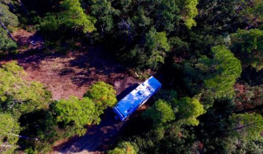 Photo of UNDER CONTRACT!  60 Acres of Bear and Deer Hunting Land For Sale in Hyde County NC!