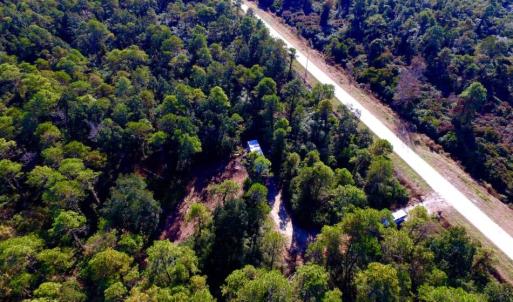 Photo of UNDER CONTRACT!  60 Acres of Bear and Deer Hunting Land For Sale in Hyde County NC!