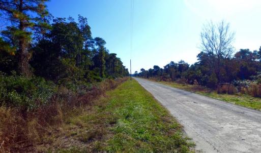 Photo of UNDER CONTRACT!  60 Acres of Bear and Deer Hunting Land For Sale in Hyde County NC!
