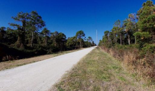 Photo of UNDER CONTRACT!  60 Acres of Bear and Deer Hunting Land For Sale in Hyde County NC!