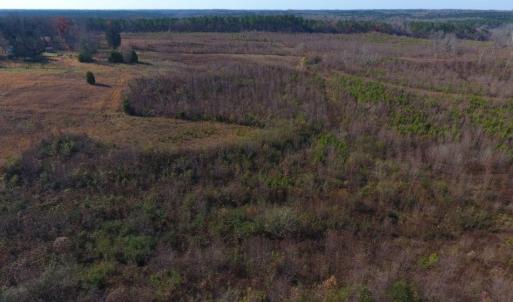 Photo of UNDER CONTRACT!  47.55 Acres of Hunting Land For Sale in Warren County NC!
