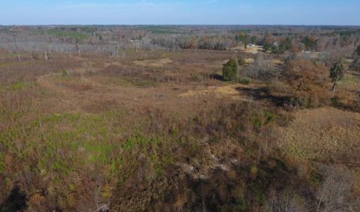 Photo of UNDER CONTRACT!  47.55 Acres of Hunting Land For Sale in Warren County NC!
