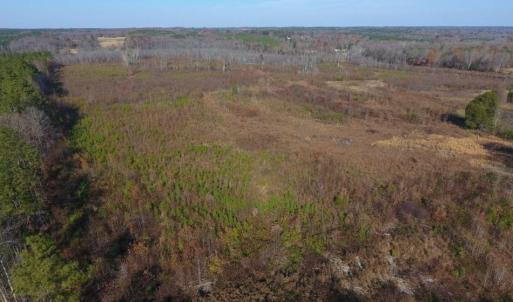Photo of UNDER CONTRACT!  47.55 Acres of Hunting Land For Sale in Warren County NC!
