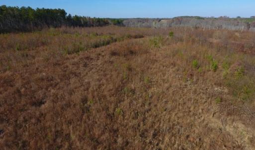 Photo of UNDER CONTRACT!  47.55 Acres of Hunting Land For Sale in Warren County NC!