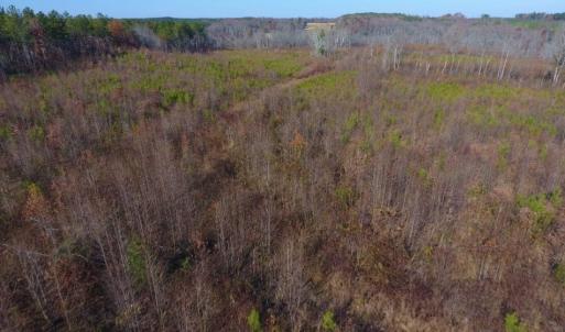 Photo of UNDER CONTRACT!  47.55 Acres of Hunting Land For Sale in Warren County NC!