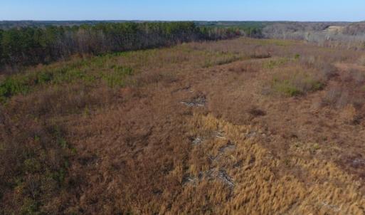 Photo of UNDER CONTRACT!  47.55 Acres of Hunting Land For Sale in Warren County NC!