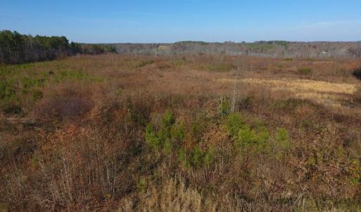 Photo of UNDER CONTRACT!  47.55 Acres of Hunting Land For Sale in Warren County NC!