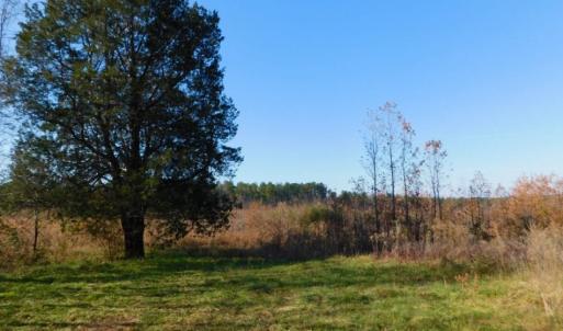 Photo of UNDER CONTRACT!  47.55 Acres of Hunting Land For Sale in Warren County NC!