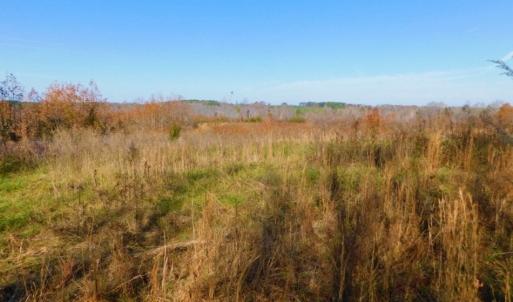 Photo of UNDER CONTRACT!  47.55 Acres of Hunting Land For Sale in Warren County NC!