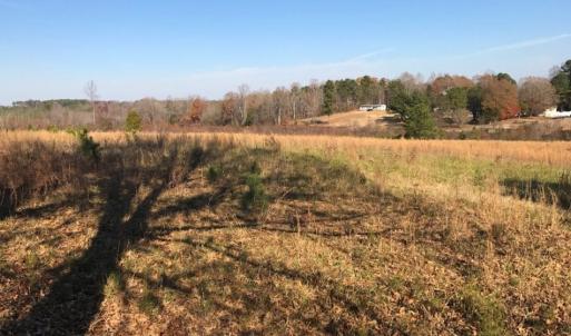 Photo of UNDER CONTRACT!  47.55 Acres of Hunting Land For Sale in Warren County NC!