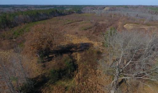 Photo of UNDER CONTRACT!  47.55 Acres of Hunting Land For Sale in Warren County NC!