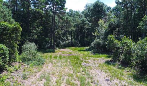 Photo of SOLD!!  60 Acres of Hunting Land For Sale in Hyde County NC!