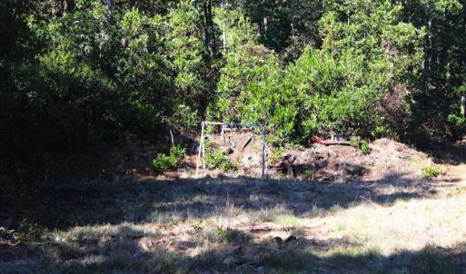 Photo of SOLD!!  60 Acres of Hunting Land For Sale in Hyde County NC!