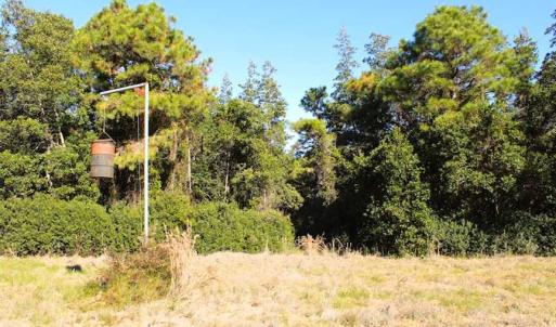 Photo of SOLD!!  60 Acres of Hunting Land For Sale in Hyde County NC!