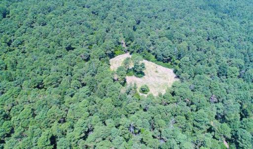 Photo of SOLD!!  60 Acres of Hunting Land For Sale in Hyde County NC!