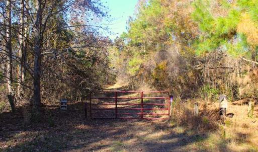 Photo of SOLD!!  60 Acres of Hunting Land For Sale in Hyde County NC!