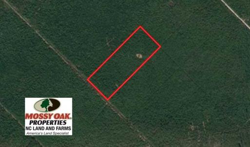 Photo of SOLD!!  60 Acres of Hunting Land For Sale in Hyde County NC!