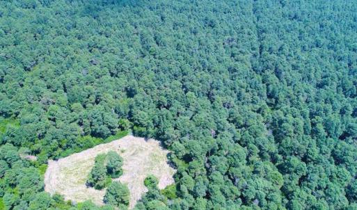 Photo of SOLD!!  60 Acres of Hunting Land For Sale in Hyde County NC!