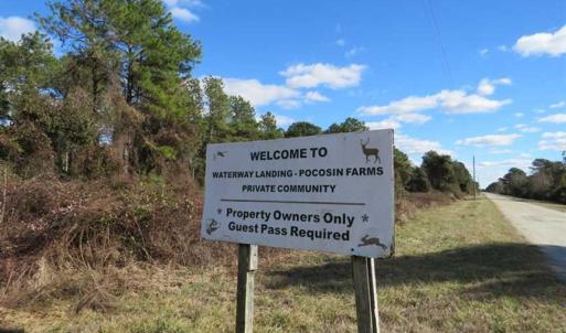Photo of SOLD!!  60 Acres of Hunting Land For Sale in Hyde County NC!